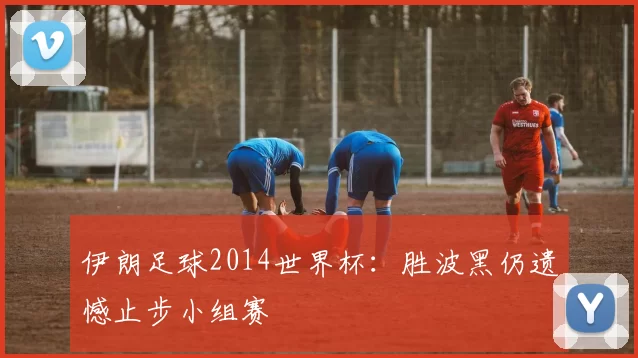 伊朗足球2014世界杯：胜波黑仍遗憾止步小组赛