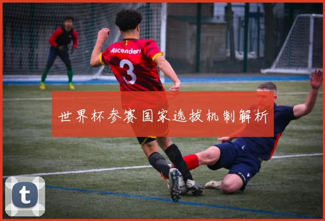 世界杯参赛国家选拔机制解析
