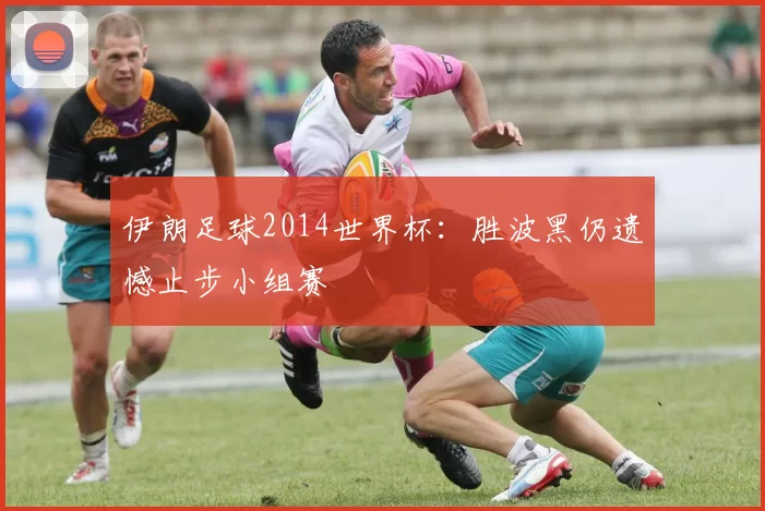伊朗足球2014世界杯:胜波黑仍遗憾止步小组赛