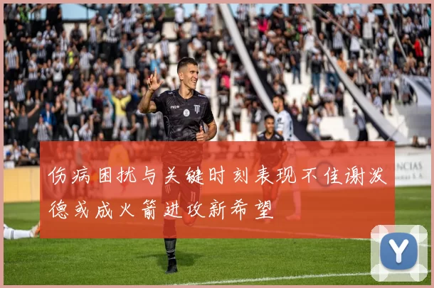 伤病困扰与关键时刻表现不佳谢泼德或成火箭进攻新希望