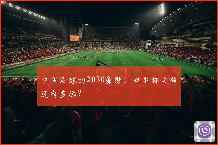 中国足球的2030豪赌:世界杯之路还有多远?