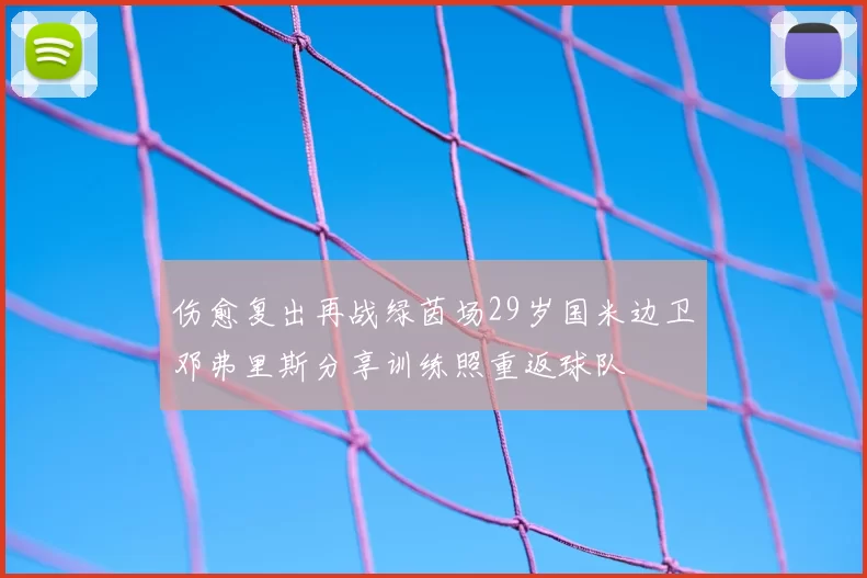 伤愈复出再战绿茵场29岁国米边卫邓弗里斯分享训练照重返球队