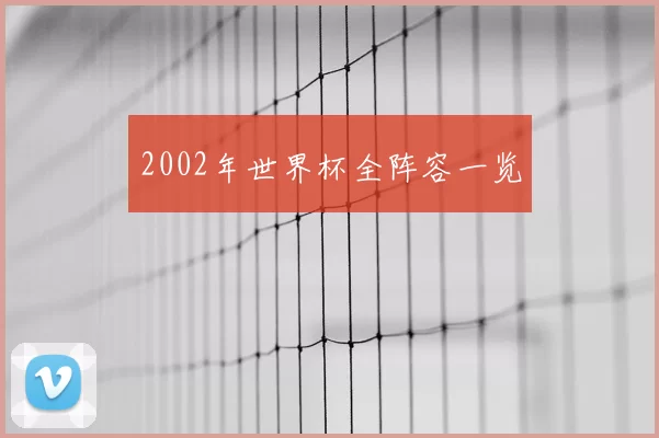 2002年世界杯全阵容一览