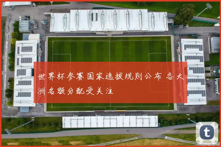 世界杯参赛国家选拔规则公布 各大洲名额分配受关注