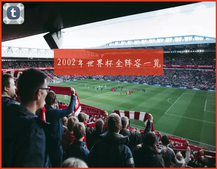 2002年世界杯全阵容一览