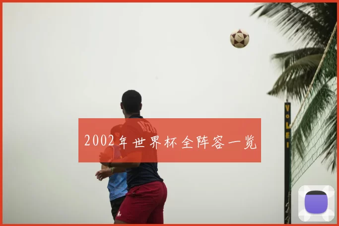 2002年世界杯全阵容一览