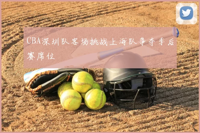 CBA深圳队客场挑战上海队争夺季后赛席位