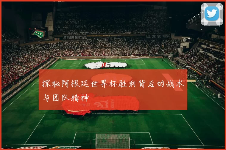 探秘阿根廷世界杯胜利背后的战术与团队精神