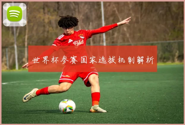世界杯参赛国家选拔机制解析