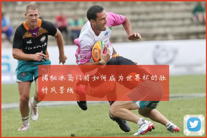 揭秘冰岛门将如何成为世界杯的独特风景线